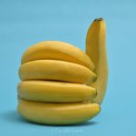 The Social Vegetarian