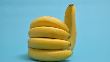 The Social Vegetarian