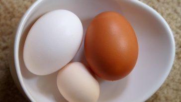 A Poultry Dish for every Celebration