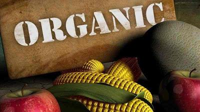 Organic Foods Great for Toddlers