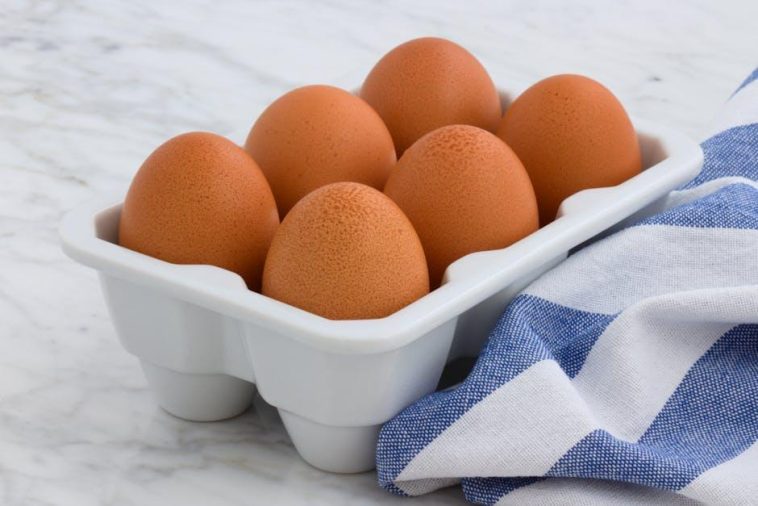 Improve Your Muscle Building Diet Plan with Top Quality High-Protein Groceries from your Regional Grocery Store