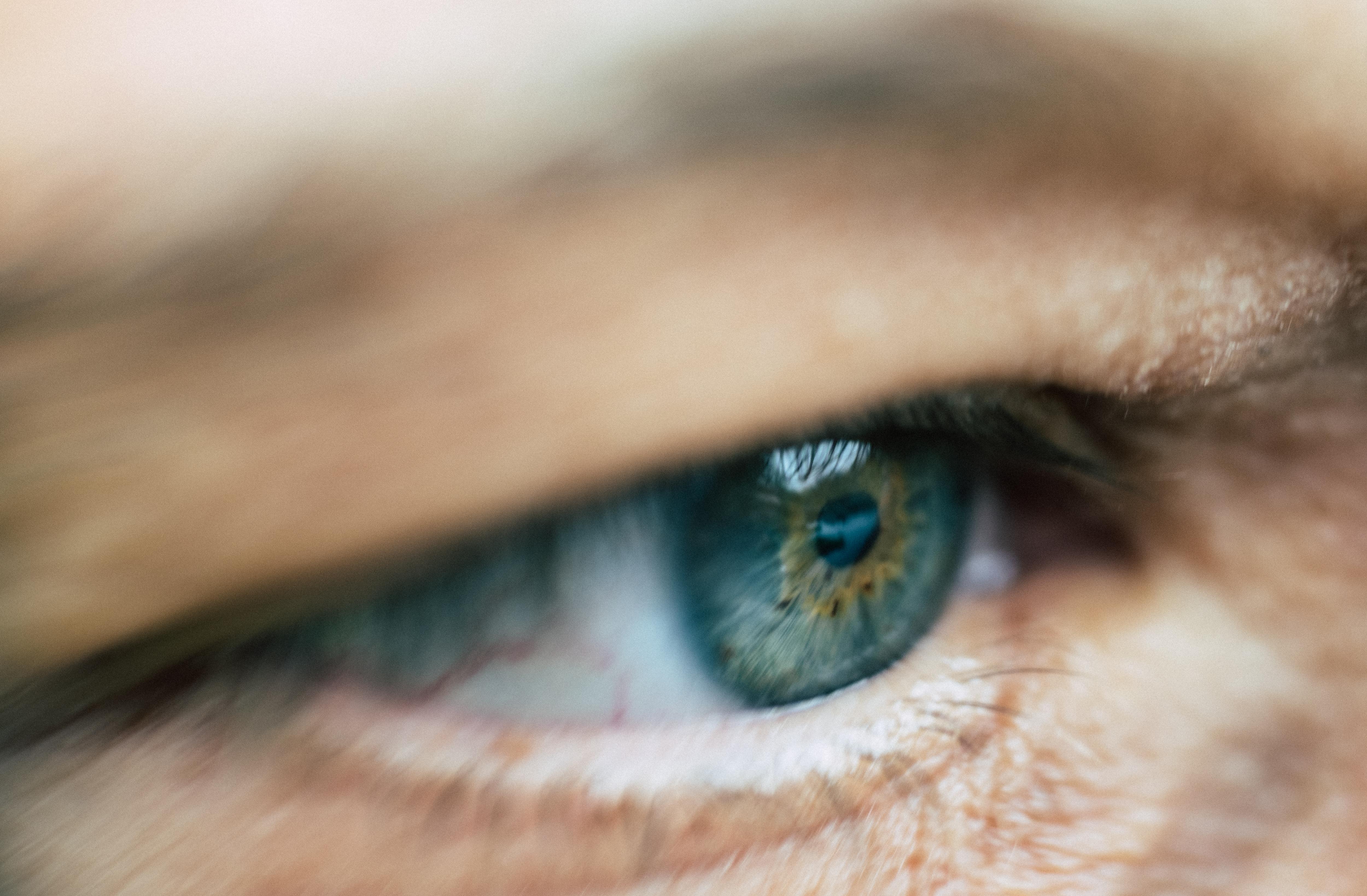 Nourish Your Mind with Mindful Meditation