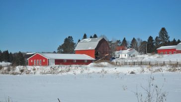 10 Tips For Winter Months Health