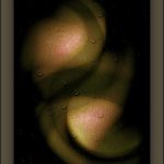 Just How to Acquire Organic Foods