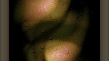 Just How to Acquire Organic Foods