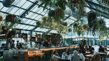 Dish: lombardi’s eating facility tiramisu