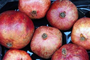 Exactly How to Conserve Cash When Getting Organic Foods