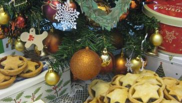 Easy Xmas Cookie Recipes – One Dish with Numerous Variants