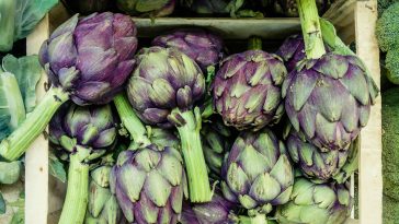 Just How to Locate Health Food Shop