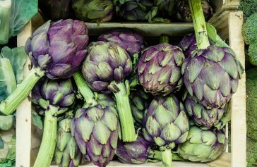 Just How to Locate Health Food Shop