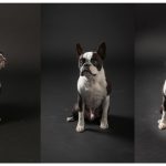 Family Members to Obtain Free Kid ID Sets atSept 3 Occasion