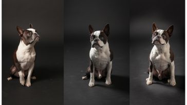 Family Members to Obtain Free Kid ID Sets atSept 3 Occasion