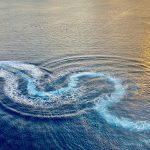 Just the absolute best at the Aruba Dining Establishments