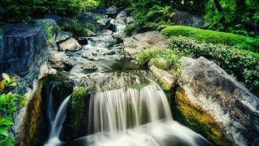 Just How Much Water Should You Consume Alcohol Each Day?