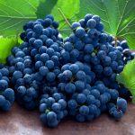 Dish: Grape As Well As Peach Consume Alcohol