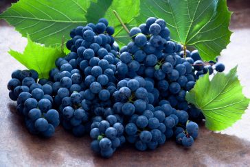 Dish: Grape As Well As Peach Consume Alcohol