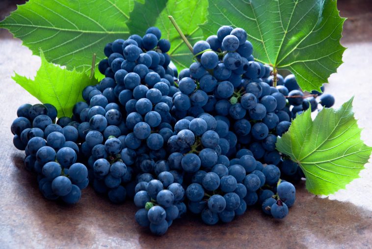 Dish: Grape As Well As Peach Consume Alcohol