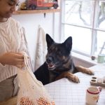 Organic Pet Dog Food along with Making the Right Option