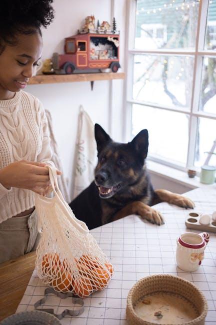 Organic Pet Dog Food along with Making the Right Option