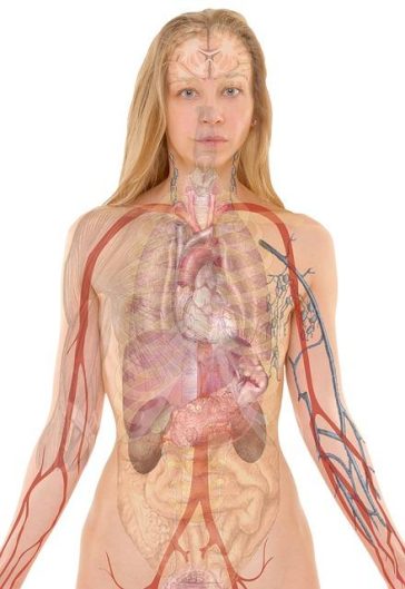 Tips That Will Assist You Get Your Desire Body!