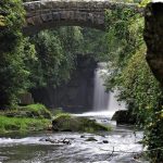 Dish: union residence eating facility brownies