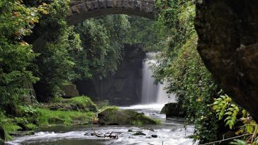 Dish: union residence eating facility brownies