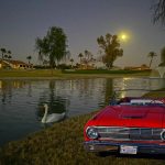 18 th-birthday-03 txt