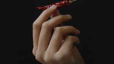 The Most Effective Mexican Food Throughout The Nation, Chosen By Mexican Dining Establishment Reviews From Boston To San Francisco