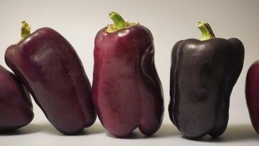 Healthy And Balanced Convenience Food … Is it Feasible?