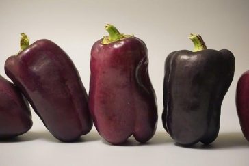 Healthy And Balanced Convenience Food … Is it Feasible?