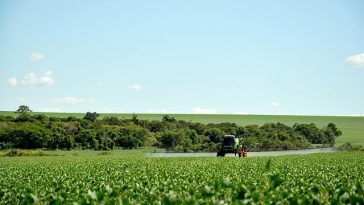 Soy-Based Meat And Also Milk Alternatives