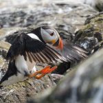 5 Engaging Factors to Pick a Health Chance