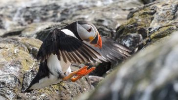 5 Engaging Factors to Pick a Health Chance