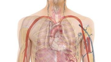 Boost The Body Picture Of Your Service