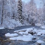 You Need to Be First at the River to Obtain a Beverage