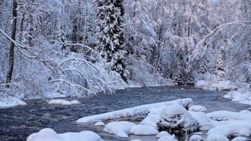 You Need to Be First at the River to Obtain a Beverage