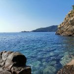 Acapulco Dining Establishments (2)