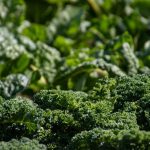 Health and also health And Also Various Other Advantages Of All- all-natural Organic Foods