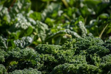 Health and also health And Also Various Other Advantages Of All- all-natural Organic Foods