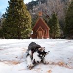 Day Indulging In North The Golden State