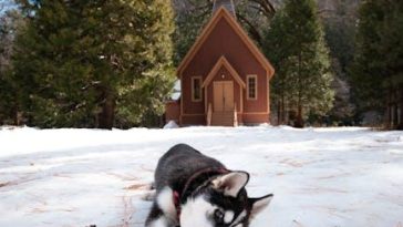 Day Indulging In North The Golden State