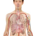 Your Body Is Informing You to Consume Alcohol Water