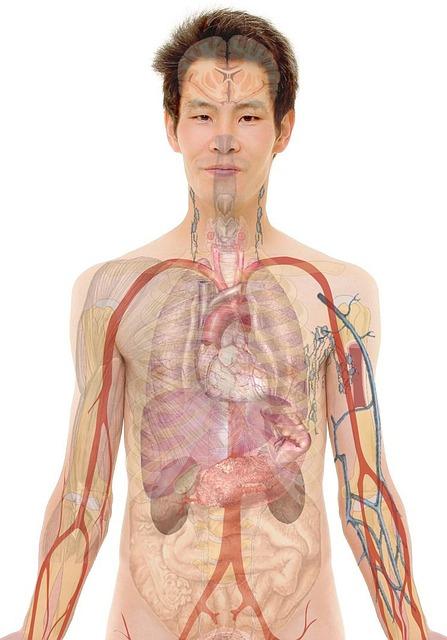 Your Body Is Informing You to Consume Alcohol Water