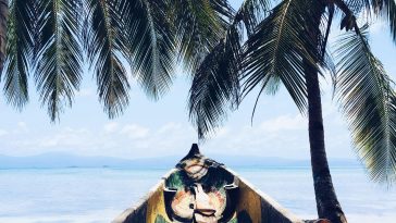 Panama Sushi Restaurants