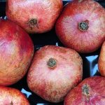 The Benefits as well as downsides of Consuming Organic Foods