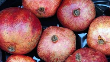 The Benefits as well as downsides of Consuming Organic Foods