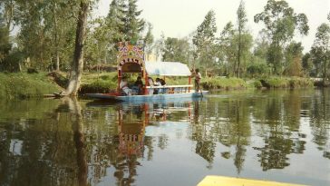 Dish: xochimilco mexican eating facility pork tamales