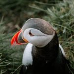 Dining Establishments in Hilton Head Island