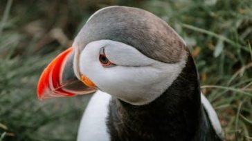 Dining Establishments in Hilton Head Island