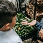 Organic Child Food: A Purchasing Overview